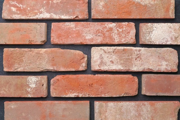 타일 기본모음샷1