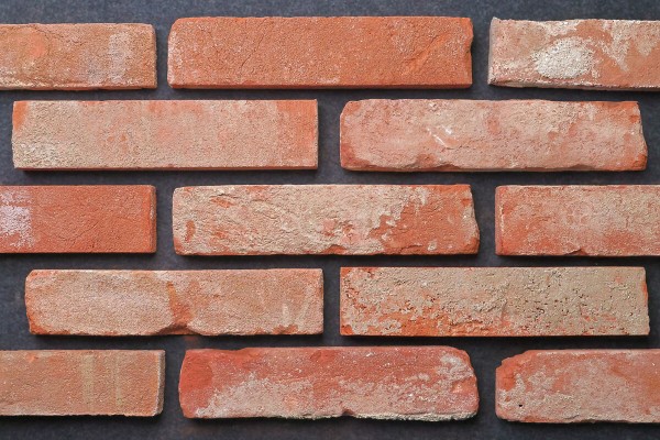 타일 기본모음샷1