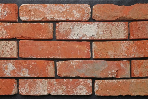 타일 기본모음샷1